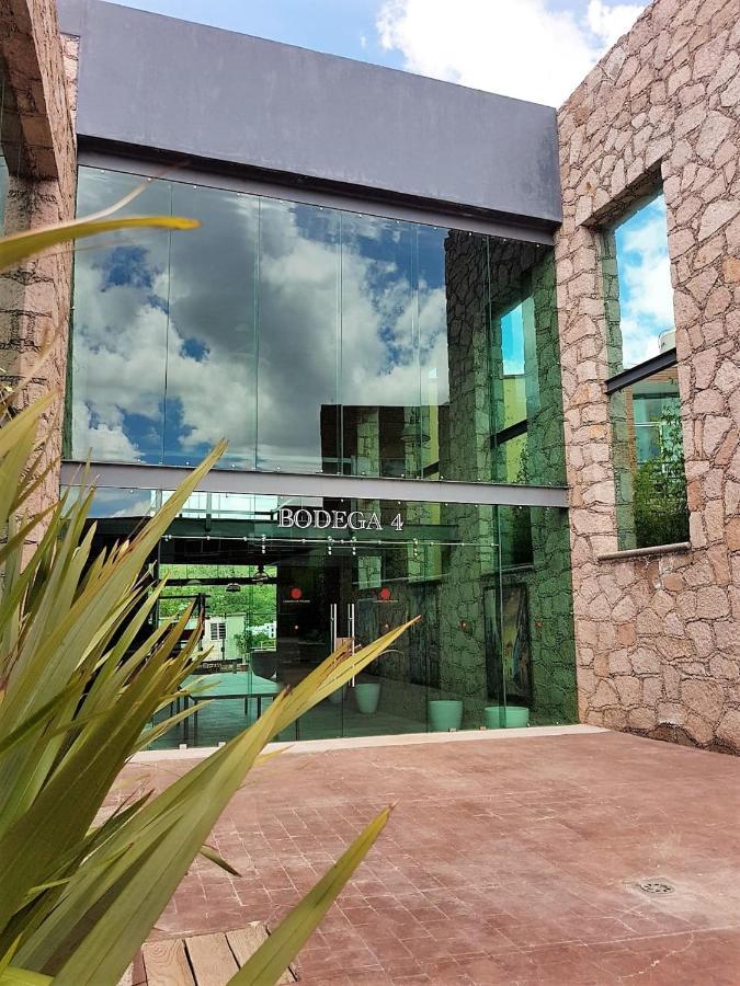 Hotel Camino De Piedra Guanajuato Exteriér fotografie